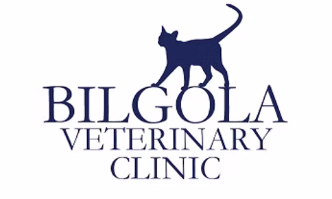 Bilgola Vet